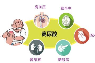 痛风，5种食物不要碰