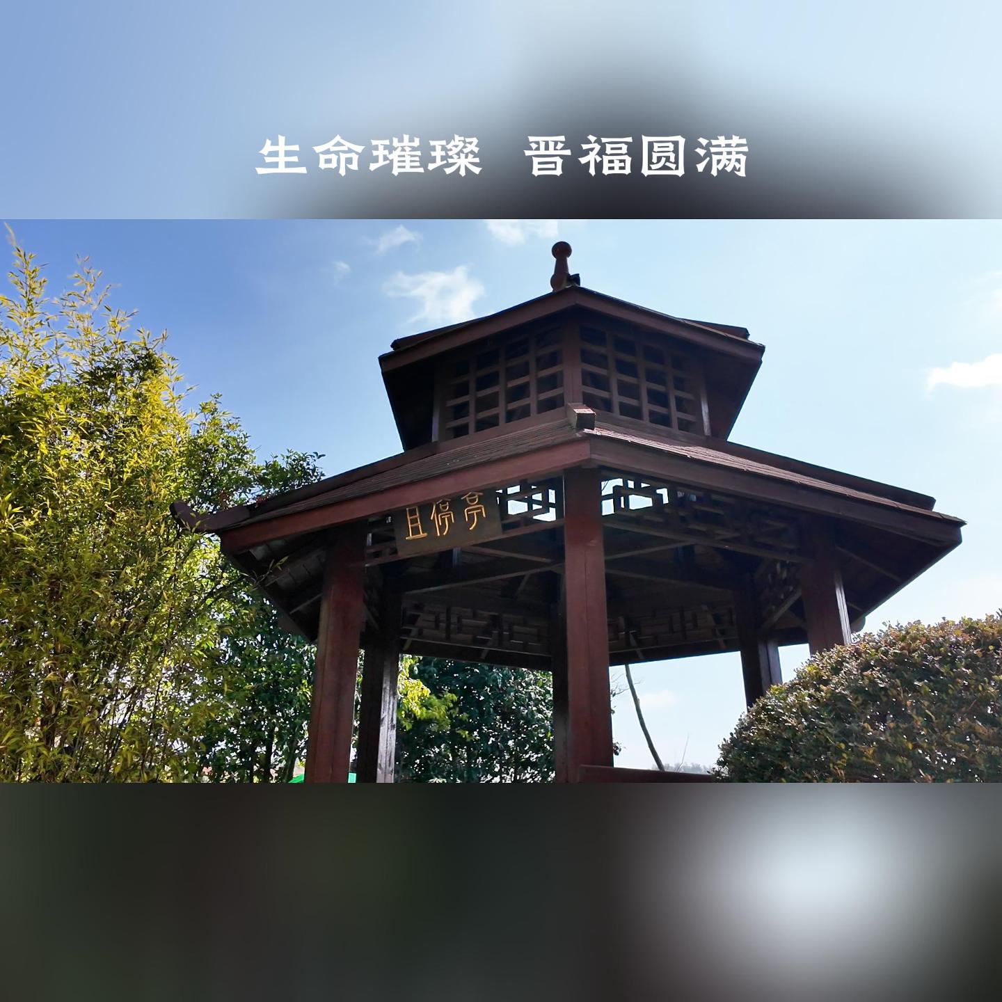 且停亭