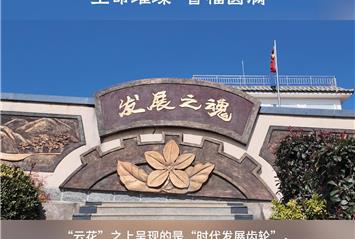 发展之魂